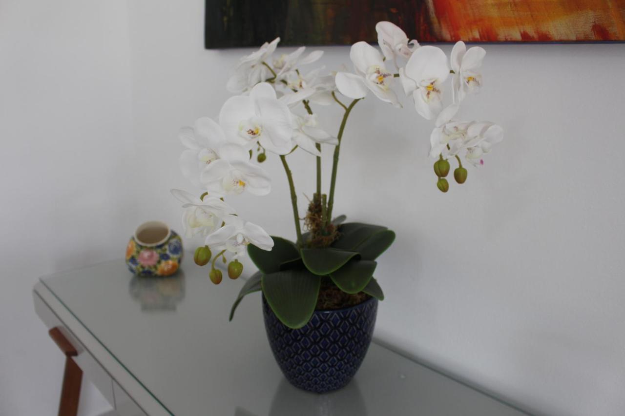 Apartamento Praia Forte กาโบฟรีโอ ภายนอก รูปภาพ